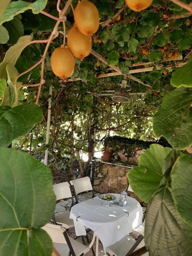 Sailor'S Rustic House Villa Virpazar Kültér fotó
