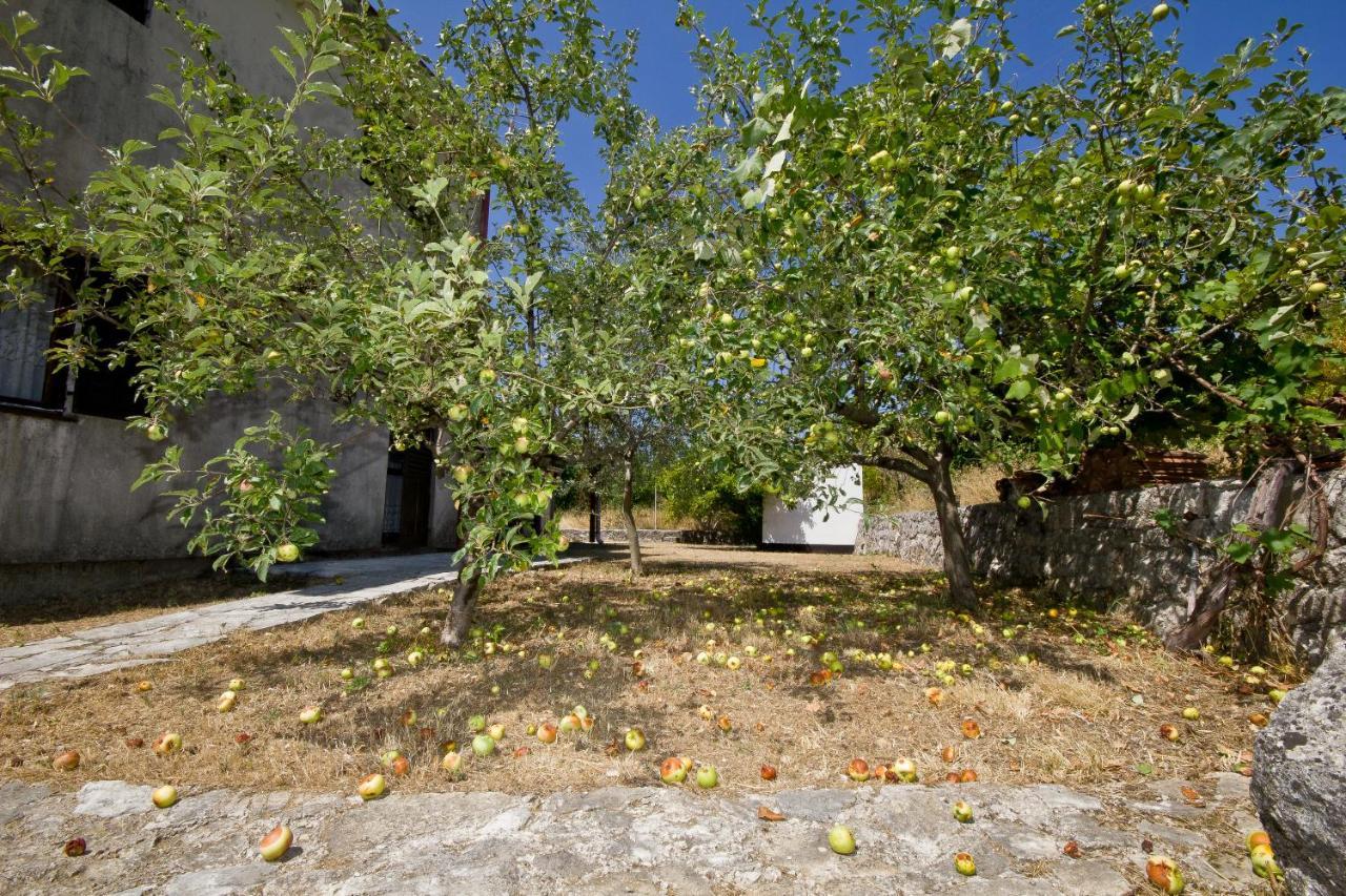 Sailor'S Rustic House Villa Virpazar Kültér fotó