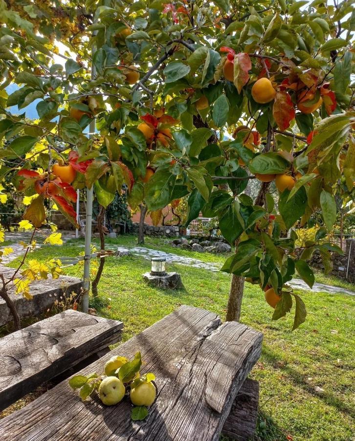Sailor'S Rustic House Villa Virpazar Kültér fotó