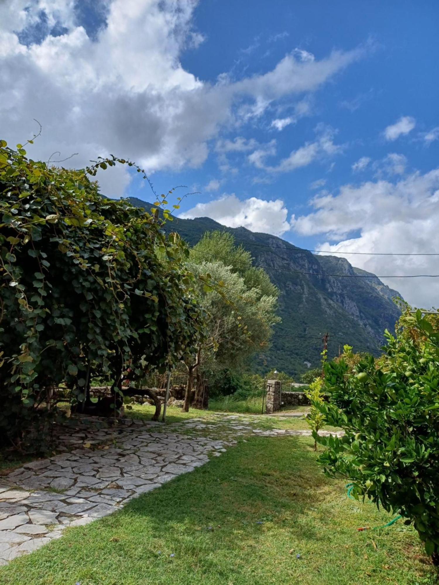Sailor'S Rustic House Villa Virpazar Kültér fotó