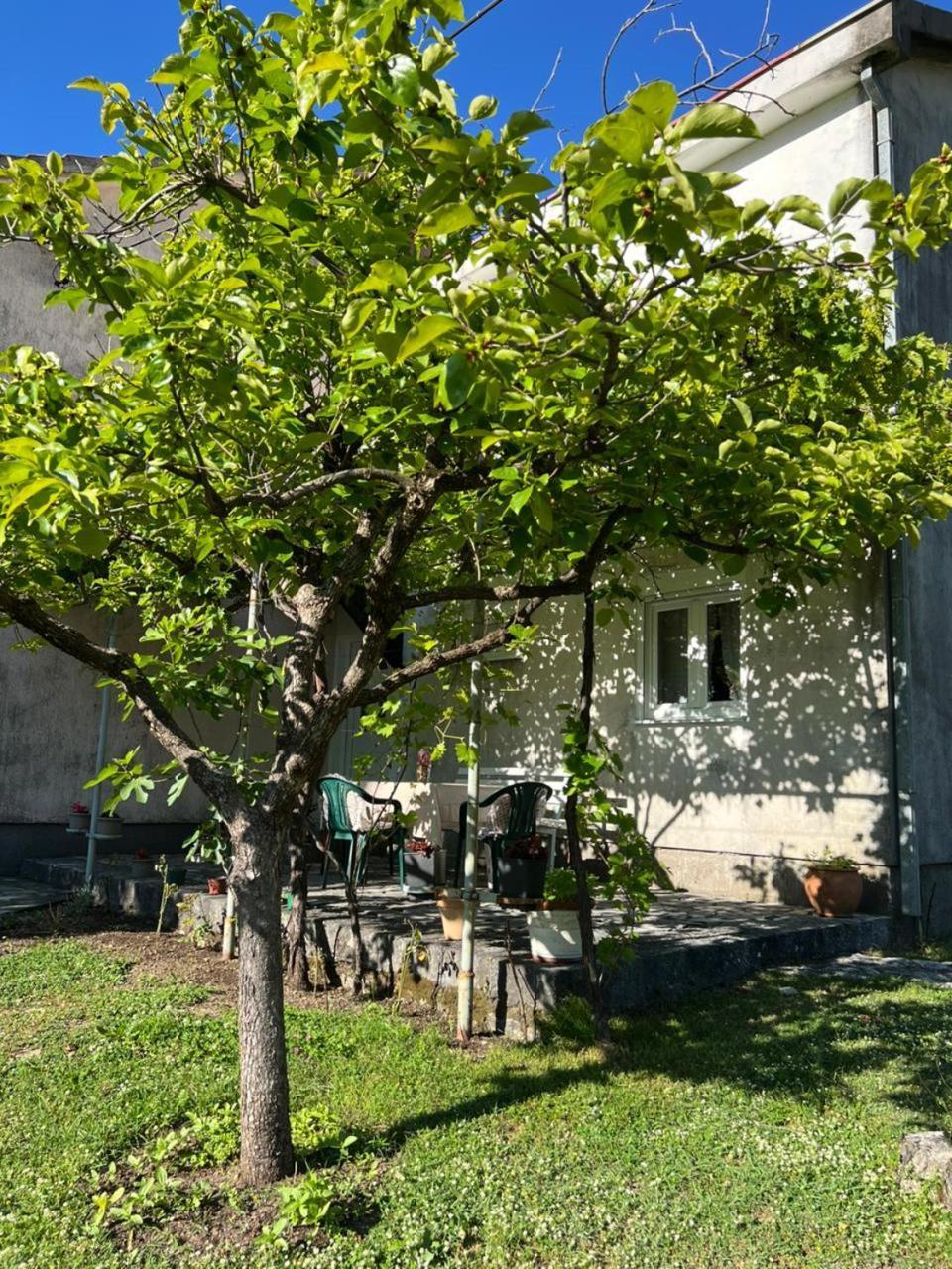 Sailor'S Rustic House Villa Virpazar Kültér fotó