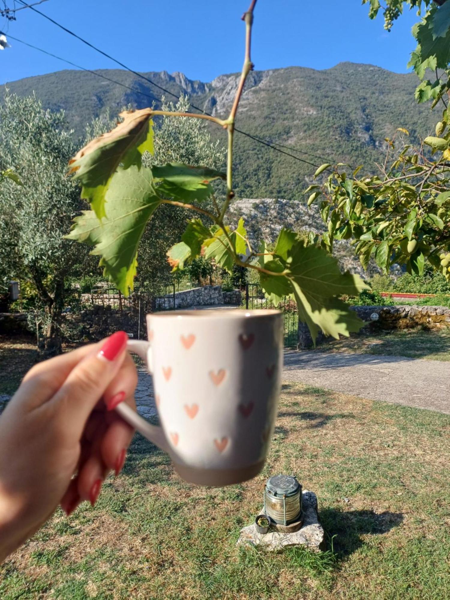 Sailor'S Rustic House Villa Virpazar Kültér fotó